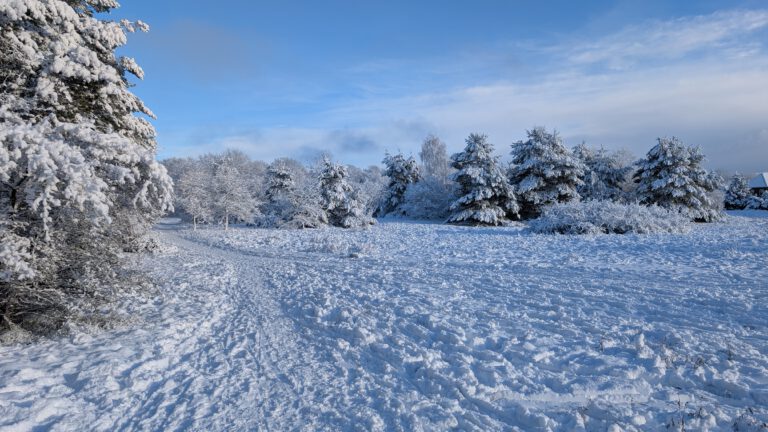 Winter bei uns