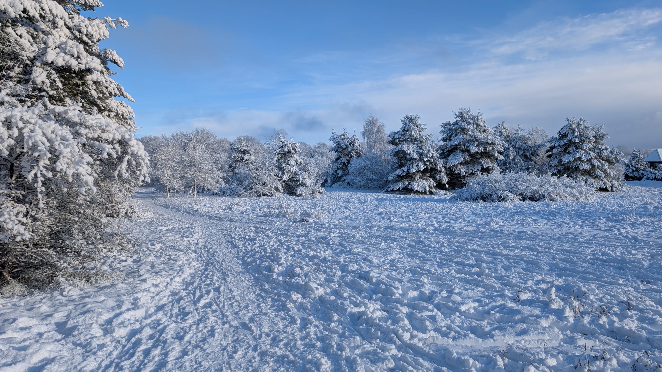 Winter bei uns